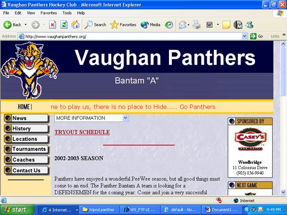 Vaughan Panthers Organization