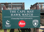 Cape May Hawk Watch Platform