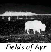 FIELDS OF AYR