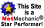 NetMechanic Star Performance Award