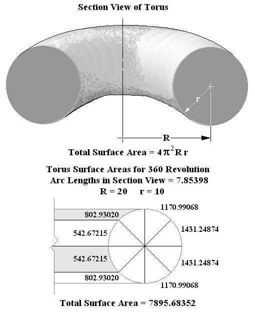 Torus Dimensions and Surface Areas